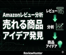 Amazonレビュー分析ツール販売します イメージ1