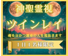 ツインレイ鑑定｜サイレント、統合、彼の本音を視ます イメージ1