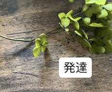発達しょうがいとの付き合い方をアドバイスします 発達しょうがいを抑えるではなく付き合えるように助言します