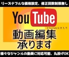 あなたの動画を割りとリーズナブルな価格で編集します イメージ1