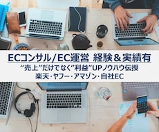 単発 ECビジネス拡大目指して親身にコンサルします スタートしたばかり、伸び悩んでる店舗を本気でサポートします！