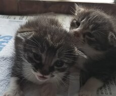 つらい気持ち、悲しみから愚痴まで何でも聴きます イメージ1