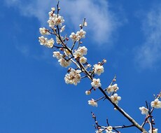 私ってどこか他の人と違うの？その不安に寄り添います イメージ1