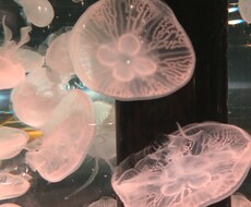 心が痛むあなたへ〜 辛く苦しい夜にも必ず朝は来ます 仕事、恋人、友人など人間関係でお悩みの方
