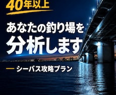 あなたの釣り場を分析！シーバス攻略プランを作ります 40年以上の経験から、ポイント・潮・ルアーなどを個別提案