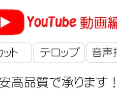 現役Youtuberが格安で動画編集代行します イメージ1