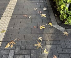 傾聴しますしアドバイスも出来ます イメージ1