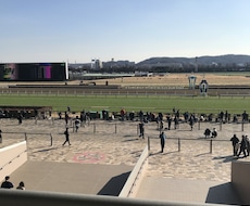 土日の競馬のお話、重賞から平場までなんでも聞きます イメージ1