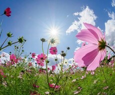 心が少しでも軽く出来るように話聞きます イメージ1