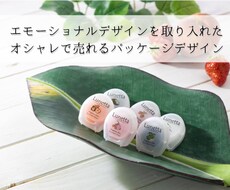 大手企業の受注歴多数・パッケージデザイン致します 実績10件到達までの期間限定！破格でデザイン提案いたします。