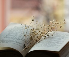 読むべき良い本を教えます イメージ1
