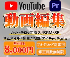 現役映像クリエイターがYoutube動画制作します PremierePro使用、修正回数無制限！
