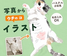 うちの子を「パステル水彩」で描きます イメージ1