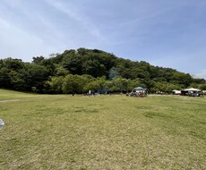 人間関係に関する相談を楽観的に回答します イメージ1