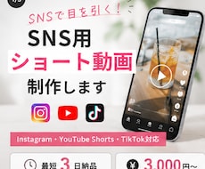 SNS用ショート動画を作成します イメージ1