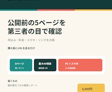 公開前の申込みページを購入者目線で確認します 5ページをパソコン・スマホで確認し、直す順番を報告