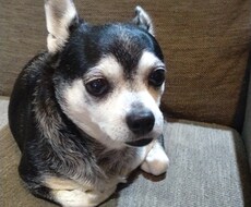 誰にも言えない悩みごとや愚痴を聞きます イメージ1