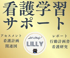 看護「課題・実習」の学習をサポートします 今だけ20名限定→1500円でマンツーマン指導