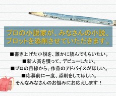 現役小説家が、あなたの小説の相談に乗ります 小説での気軽なお悩みから、新人賞応募予定作品の企画チェック等