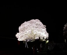 日頃の鬱憤聞きます イメージ1