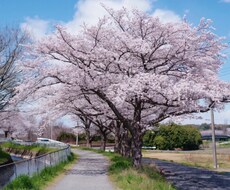 相性特化して占います イメージ1