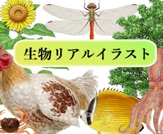 図鑑・教科書・教材のリアルなイラストを描きます 学術対応可能、教材・論文・専門書向けの正確な図版を提供します