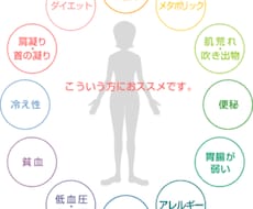 エキスパートファスティングマイスターが教えます イメージ1