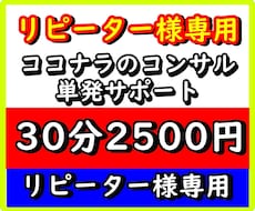 単発30分‼️リピータ様専用⭐️個別コンサルします ココナラ販売・メンタル改善・副業支援・人生相談・ビジネス戦略