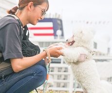 犬【SNS掲載OK】わんちゃんのお写真撮影します 何気ない毎日を、かけがえのないキヲクに。