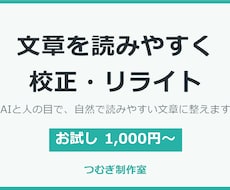 AIで書いた文章を自然に校正・リライトします イメージ1