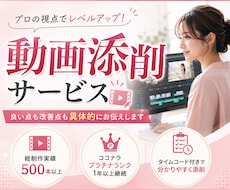編集初心者向け！プロが動画を丁寧に添削します イメージ1