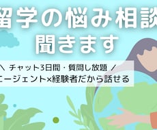 留学の不安相談/元エージェントが丁寧にお話聞きます イメージ1
