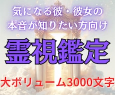 大切な彼/彼女の気持ちとこれからの未来を視ます 大ボリュームで読み応えのある霊視鑑定！初めての方大歓迎