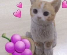 はじめてフリマアプリ 利用の仕方の相談のります イメージ1