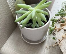 お悩みその他に自己肯定感を高めるアドバイスをします