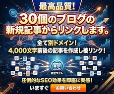 最高品質！30個のブログの新規記事からリンクします イメージ1