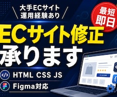ECサイトの修正・更新作業を承りますます 大手ECサイト運用経験あり。小さな修正から丁寧に対応します。