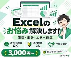 Excelの関数・集計・エラーを解決します イメージ1