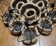 多肉植物を愛して止まない皆さまへお届け致します イメージ1