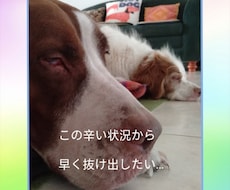 いつまで続くの？　辛い人間関係のお悩みに答えます イメージ1