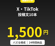 X・TikTok投稿10本を1500円で作成します イメージ1