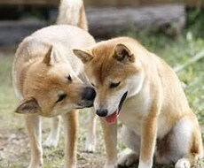あなたの悩み解決出来るようがんばります イメージ1