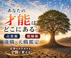 適職、相応しい働き方、占星術＆数秘術で鑑定します イメージ1
