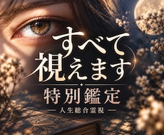 特別鑑定｜人生全体を深く霊視します イメージ1
