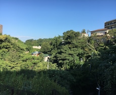 空き家の定期清掃(庭含む)&報告レポート送ります イメージ1