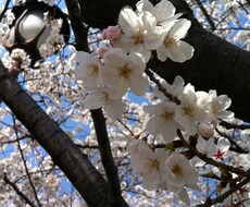 あなた専属の管理栄養士になります イメージ1
