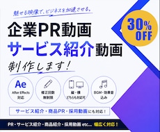 期間限定価格！商品PR・サービス紹介動画制作します イメージ1