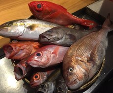 魚を捌きたい、そんな方に準備段階からご教授します イメージ1