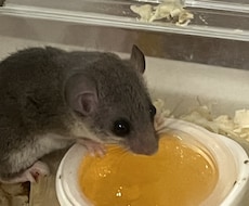気軽になんでも話しましょう。お話伺います イメージ1