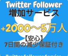 2,000人Twitterフォロワー増やします Twitterフォロワー宣伝します！確実にフォロワー増加！
